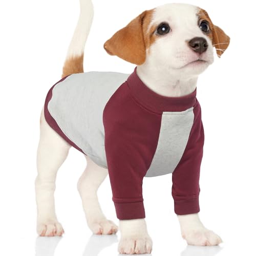 QBLEEV Hundekleidung, Winterwärme, mit Fleece gefütterte Sweatshirts für Hunde, gemütlicher Hundepullover und Kapuzen-Kombination, Haustier-Wintermantel für Hunde, Burgunderrot, Größe L von QBLEEV