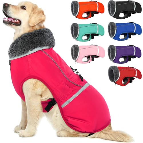 QBLEEV Hundewintermantel, warm, reflektierende Hundejacke, Rollkragen, wasserdicht, für kaltes Wetter, Dickes Fleecefutter Hund-, Haustierbekleidung, Weste, Schneeanzug für alle Hundegrößen, Größe XL von QBLEEV