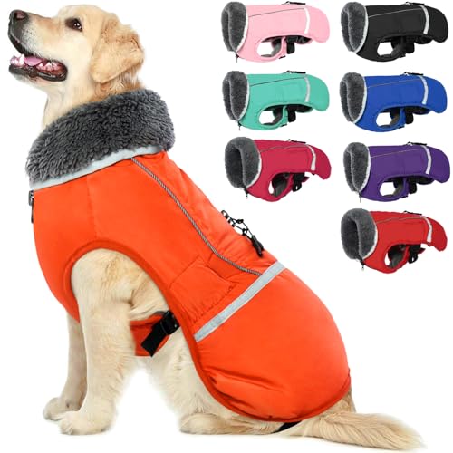 QBLEEV Hundewintermantel, warm, reflektierende Hundejacke, Rollkragen, wasserdicht, für kaltes Wetter, Dickes Fleecefutter Hund-, Haustierbekleidung, Weste, Schneeanzug für alle Hundegrößen, Größe XL von QBLEEV