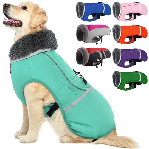 QBLEEV Hundewintermantel, warm, reflektierende Hundejacke, Rollkragen, wasserdicht, für kaltes Wetter, dickes Fleecefutter Hund-, Haustierbekleidung, Weste, Schneeanzug für alle Hundegrößen, Größe XL von QBLEEV