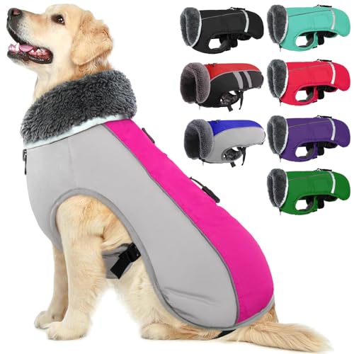 QBLEEV Hundewintermantel, warm, reflektierende Hundejacke, Rollkragen, wasserdicht, für kaltes Wetter, dickes Fleecefutter Hund-, Haustierbekleidung, Weste, Schneeanzug für alle Hundegrößen, Größe XL von QBLEEV