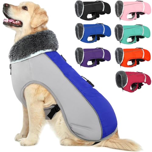 QBLEEV Hundewintermantel, warm, reflektierende Hundejacke, Rollkragen, wasserdicht, für kaltes Wetter, dickes Fleecefutter Hund-, Haustierbekleidung, Weste, Schneeanzug für alle Hundegrößen, Größe XL von QBLEEV