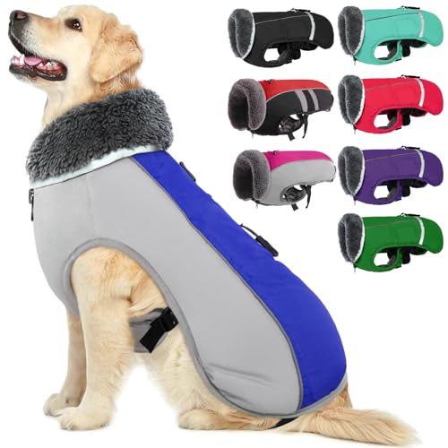 QBLEEV Hundewintermantel, warm, reflektierende Hundejacke, Rollkragen, wasserdicht, für kaltes Wetter, dickes Fleecefutter Hund-, Haustierbekleidung, Weste, Schneeanzug für alle Hundegrößen, Größe XL von QBLEEV