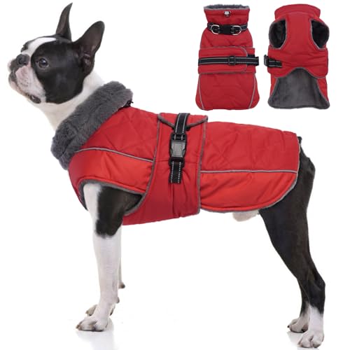 QBLEEV Warmer Hundemantel, reflektierend, verstellbarer Hunde-Wintermantel, Rollkragen, Hundekleidung für kaltes Wetter, wasserdicht, Fleece, Hunde-Schneeanzug, Hundeweste, Hundepullover für kleine, von QBLEEV