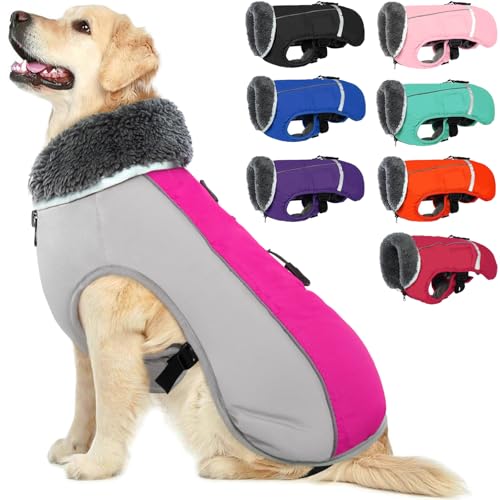 QBLEEV Hundewintermantel, warm, reflektierende Hundejacke, Rollkragen, wasserdicht, für kaltes Wetter, dickes Fleecefutter Hund-, Haustierbekleidung, Weste, Schneeanzug für alle Hundegrößen, Größe XL von QBLEEV