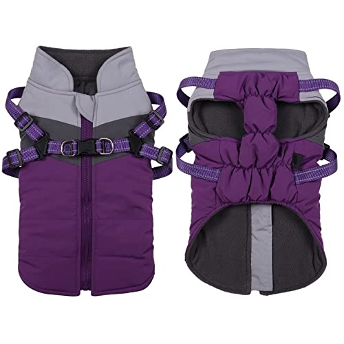 QBZUVDFCS Haustier Geschirr Weste Kleidung Welpen Kleidung wasserdichte Winter Warme Hundejacke Haustier Kleidung for Kleine Hunde Shih Tzu Chihuahua Mops Mantel(Purple,XX-Large) von QBZUVDFCS