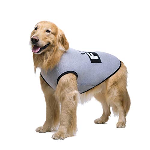 QBZUVDFCS Hunde-Bekleidung Shirt for Hunde weicher Baumwolle T-Shirt Mantel Accessoires Bekleidung Hundekostüm Haustier-Kleidung for Hunde-T-Shirt(Color:Gray Dog Clothes,Size:34(Bust 92cm)) von QBZUVDFCS