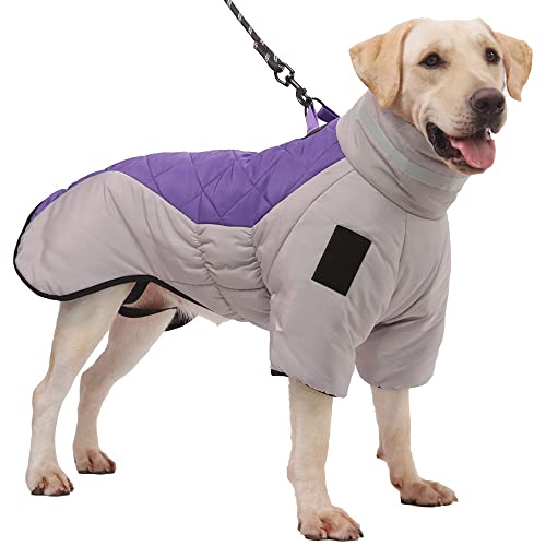 QBZUVDFCS Hundebekleidung Winter Warme Baumwolljacke Mantel for Kleine Hunde Mittelgroße Hunde Umhänge Im Stil Von Hunden Gepolsterter Mantel Reflektierende Hundebekleidung(Color:Purple,Size:3X-Large) von QBZUVDFCS