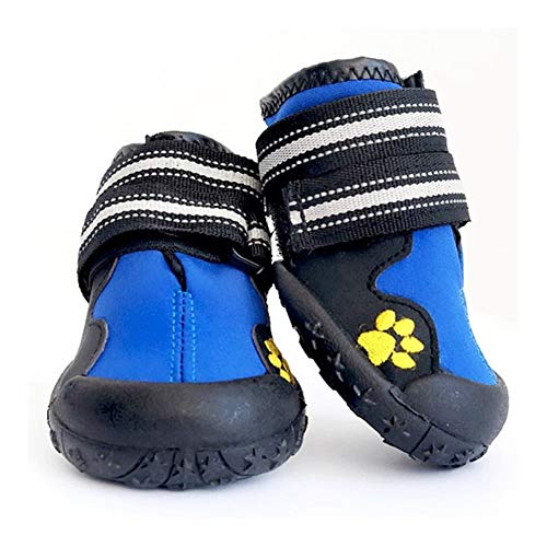 QBZUVDFCS Sport Schuhe for Hunde for große Hunde Hundeaußen Regen Stiefel Nicht Beleg Welpen Turnschuhe Laufen Waterpoof Stiefel Tierzubehör(Blue,8) von QBZUVDFCS