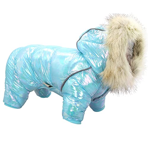 QBZUVDFCS Winter-Hundekleidung, Warmer Hundemantel, Hoodies, wasserdicht, for kleine, mittelgroße Hunde, Winddicht, reflektierende Haustier-Welpen-Kleidung(Color:Blue,Size:10) von QBZUVDFCS