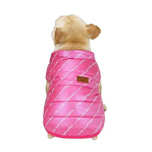 QCBH Dicke Winterkleidung für Winddichte und warme Hundejacken im Herbst und Winter, Bulldogjacke, Shar Pei Hundejacke mit Fleecefutter von QCBH