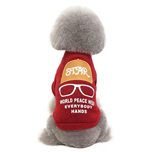 QCBH Haustierkleidung, Hundekleidung, Herbst- und Wintermodelle, Teddyhund, Katzenkleidung, kleine Hundekleidung von QCBH