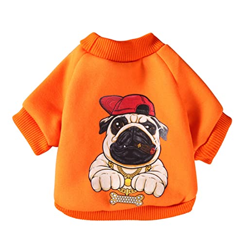 QCBH Kleine Hundekleidung, Teddy Hund Cartoon Pullover, Herbst und Winter warme Hundekleidung, Kätzchen Kleidung von QCBH