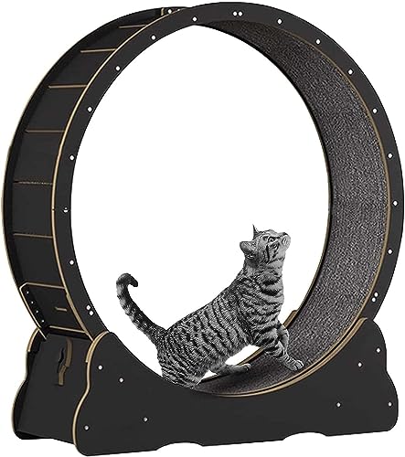 Katzenlaufband for den Innenbereich, Katzenlaufrad mit geräuschloser Laufbahn und Verriegelungsmechanismus, leise und geräuschlose TPE-Rollen for die Gewichtsabnahme bei Katzenfitness (Size : Small) von QCHIAN