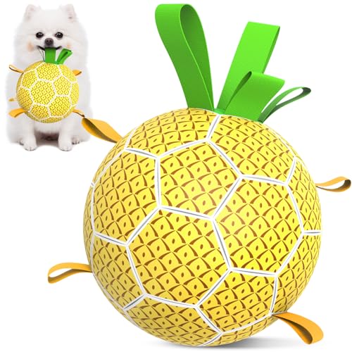 QDAN Ananas-Hundespielzeug, Fußball – Hunde-Fußball mit Riemen, Wasserspielzeug zum Tauziehen, langlebige Hundebälle für mittelgroße Hunde (15,2 cm) von QDAN