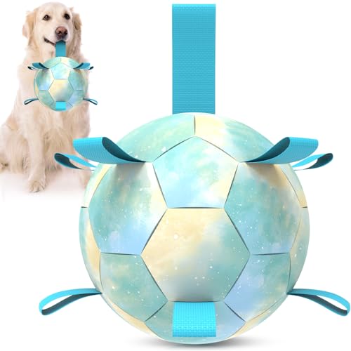 QDAN Großes Hundespielzeug, Fußball – langlebige Hundebälle mit Gurt für große Hunde, interaktives Hundespielzeug zum Zerren, Welpengeburtstagsgeschenke, Blau (20,3 cm) von QDAN