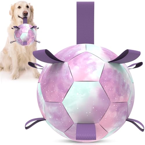 QDAN Großes Hundespielzeug, Fußball – langlebige Hundebälle mit Gurt für große Hunde, interaktives Hundespielzeug zum Zerren, Welpengeburtstagsgeschenke, lila (20,3 cm) von QDAN