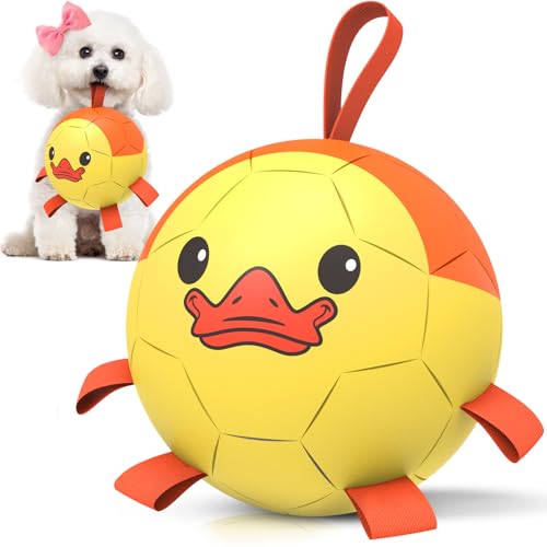 QDAN Hundespielzeug, Fußball mit Gurten – langlebige Hundebälle für kleine mittelgroße Hunde, Strand-Pool-Hundespielzeug, Enten-Hundespielzeug, Welpenspielzeug, Geburtstagsgeschenke, Hütebälle für von QDAN