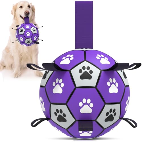 QDAN Hundespielzeug, Fußball mit Riemen, interaktives Hundespielzeug zum Tauziehen, Wasserspielzeug für Welpen, Geburtstagsgeschenke, langlebige Hundebälle für große Hunde, Lila (20,3 cm) von QDAN