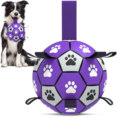QDAN Hundespielzeug, Fußball mit Riemen, interaktives Hundespielzeug zum Tauziehen, Wasserspielzeug für Welpen, Geburtstagsgeschenke, langlebige Hundebälle für kleine und mittelgroße Hunde, Violett von QDAN