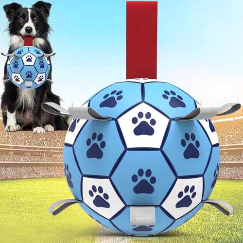 QDAN Hundespielzeug, Fußball mit Riemen, langlebige Hundebälle für kleine und mittelgroße Hunde, Outdoor-Hundespielzeug, Sommer-Wasserspielzeug, Hüteball, Welpen-Hund, Geburtstagsgeschenk, 15,2 cm, von QDAN