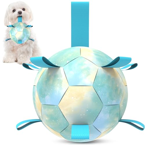 QDAN Hundespielzeug Fußball – langlebige Hundebälle mit Gurt für mittelgroße und kleine Hunde, Hunde Geschenke, Hundespielzeug zum Zerren, Blau (15,2 cm) von QDAN