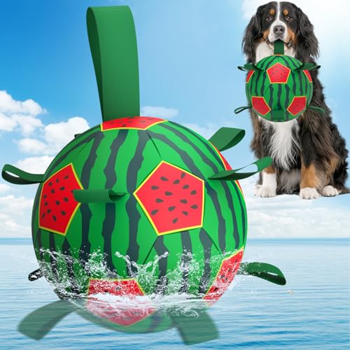 QDAN Wassermelonen-Hundespielzeug, Fußball – Hunde-Fußball mit Riemen, Wasserspielzeug zum Tauziehen, langlebige Hundebälle für extra große Hunde (22,9 cm) von QDAN