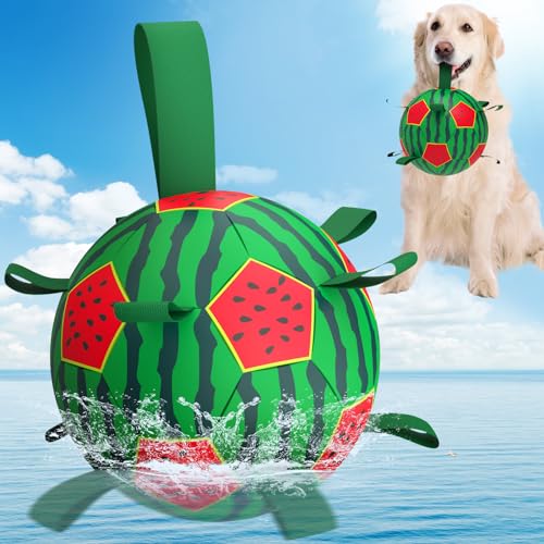 QDAN Wassermelonen-Hundespielzeug, Fußball – Hunde-Fußball mit Riemen, Wasserspielzeug zum Tauziehen, langlebige Hundebälle für mittelgroße und große Hunde (20,3 cm) von QDAN