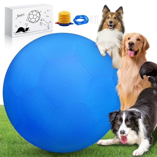 QDOLEQ 63,5 cm Herding Ball Set für Hunde und Pferde, langlebig, wasserdicht, zweilagig, groß, interaktiver Haustier-Spielball für australische Schäferhunde, Rinderhunde, Collies und alle Herdenrassen von QDOLEQ