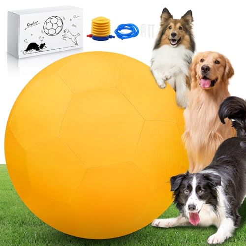 QDOLEQ 63,5 cm Herding Ball Set für Hunde und Pferde, langlebig, wasserdicht, zweilagig, groß, interaktiver Haustier-Spielball für australische Schäferhunde, Rinderhunde, Collies und alle Hüterassen von QDOLEQ