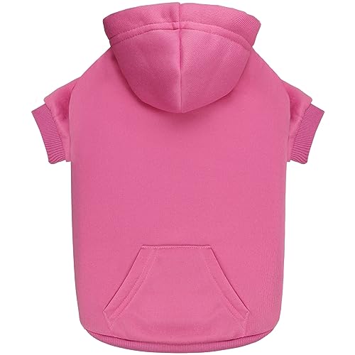 Hunde-Kapuzenpullover, Hundepullover für kleine Hunde, Hundepullover, solide, weiche gebürstete Fleece, Hundebekleidung, Hunde-Kapuzenpullover mit Tasche (Rosa, XS) von QDYU