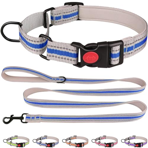 Martingale-Halsband für Hunde, weiches Neopren, gepolstert, reflektierend, Martingal-Halsband und Leine, Set mit Sicherheitsschnalle, Nylon, Martingal-Halsband für Welpen (Blau und XS) von QDYU