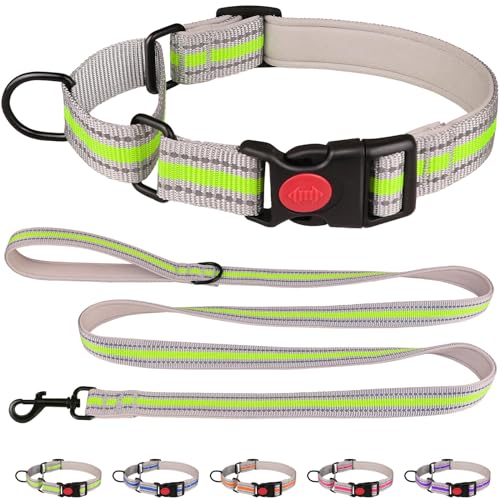 Martingale-Halsband für Hunde, weiches Neopren, gepolstert, reflektierend, Martingal-Halsband und Leine, Set mit Sicherheitsschnalle, Nylon, Martingal-Halsband für Welpen (Grün und XS) von QDYU