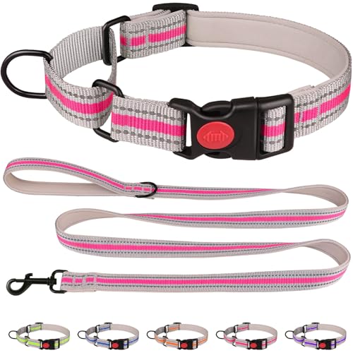 Martingale-Halsband für Hunde, weiches Neopren, gepolstert, reflektierend, Martingal-Halsband und Leine, Set mit Sicherheitsschnalle, Nylon, Martingal-Halsband für Welpen (Hotpink und XS) von QDYU