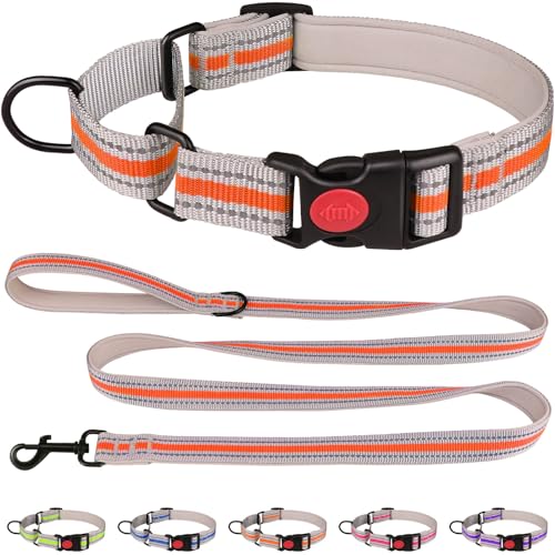 Martingale-Halsband für Hunde, weiches Neopren, gepolstert, reflektierend, Martingal-Halsband und Leine, Set mit Sicherheitsschnalle, Nylon, Martingal-Halsband für Welpen (Orange und XS) von QDYU