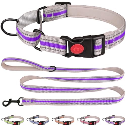 Martingale-Halsband für Hunde, weiches Neopren, gepolstert, reflektierend, Martingal-Halsband und Leine, Set mit Sicherheitsschnalle, Nylon, Martingal-Halsband für Welpen (Violett und XS) von QDYU