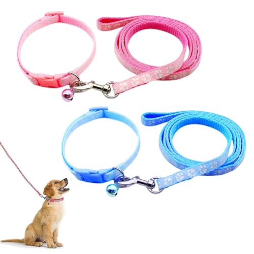 Hundehalsband und Leine, Halsband und Leine für kleine Hunde, Hundehalsbänder, hundehalsband, Bequeme verstellbares Hundehalsband, Hundehalsband und Leine Set, Welpenhalsband, Rosa & Seeblau von QEEROYO