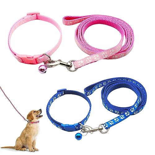 Hundehalsband und Leine, Halsband und Leine für kleine Hunde, Hundehalsbänder, hundehalsband, Bequeme verstellbares Hundehalsband, Hundehalsband und Leine Set, Welpenhalsband, Rosa & Blau von QEEROYO