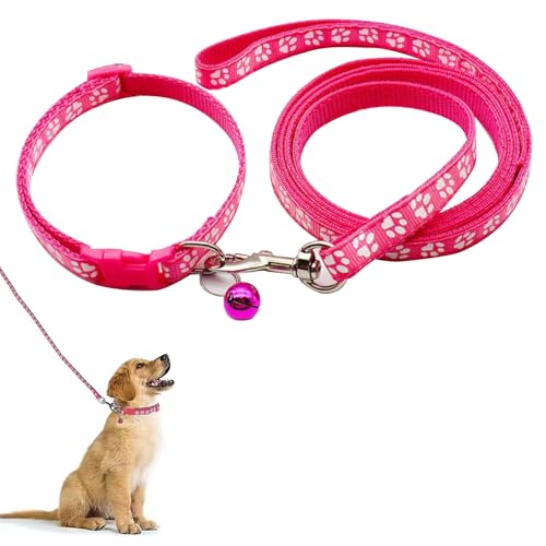 Hundehalsband und Leine, Halsband und Leine für kleine Hunde, Hundehalsbänder, hundehalsband, Bequeme verstellbares Hundehalsband, Hundehalsband und Leine Set, Welpenhalsband,Rosarot von QEEROYO