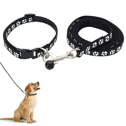 Hundehalsband und Leine, Halsband und Leine für kleine Hunde, Hundehalsbänder, hundehalsband, Bequeme verstellbares Hundehalsband, Hundehalsband und Leine Set, Welpenhalsband, Schwarz von QEEROYO