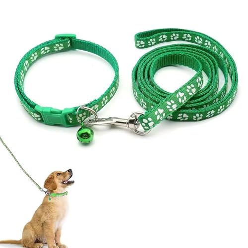 Hundehalsband und Leine, Halsband und Leine für kleine Hunde, Hundehalsbänder, hundehalsband, Bequeme verstellbares Hundehalsband, Hundehalsband und Leine Set, Welpenhalsband,Grün von QEEROYO