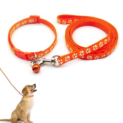 Welpenhalsband, Hundehalsband und Leine, Set, weiches Hundehalsband, verstellbares Haustier-Hundehalsband, Haustier-Katzenhalsband, Leine für kleine und mittelgroße Hunde, verstellbare von QEEROYO