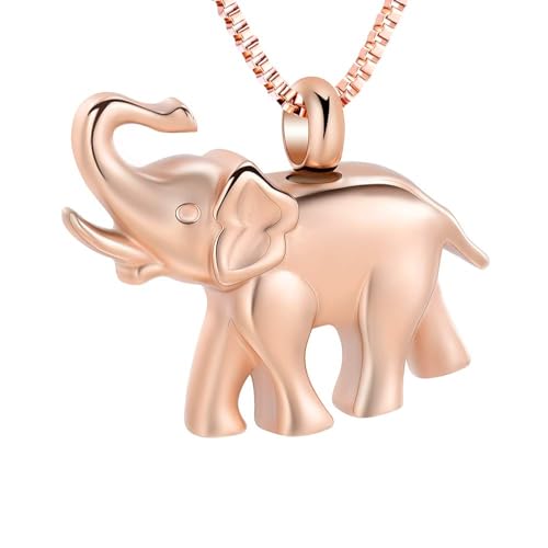 QGJNSGC Kremation Schmuck für Asche für Frauen Männer Tiere Dinosaurier/Kuh/Elefant/Frosch Urne Halskette Andenken Anhänger für Haustier Gedenkstätte Geschenk von QGJNSGC