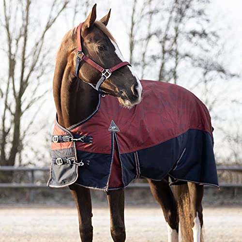 QHP Collection Turnoutdecke 150g, Farbe:Saddlery, Größe:155 cm / 6'9 von QHP