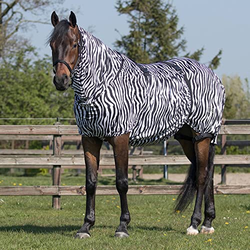 QHP Ekzemdecke mit Hals und abnehmbarem Bauchlatz (135 cm, Zebra) von QHP