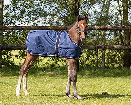 QHP Fohlen-Decke, 90 cm, Klassisch, Blau, Polyester, Wasserdicht, Einfarbig, Outdoor, Fohlen, Pferd, Decke, 100g Füllung, Klettverschluss, Herbst, Winter von QHP