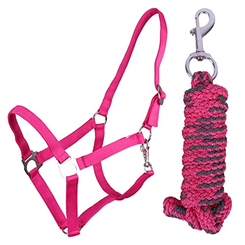 QHP Halfter-Set Beginner Halfter + Führstrick Karabinerhaken verstellbar (Shetty, Fuchsia) von QHP