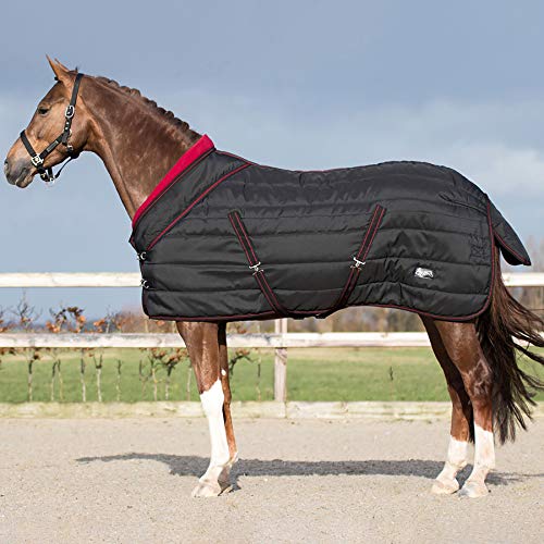 QHP Luxus Stalldecke Collection 200g Füllung Fleecekragen Kreuzgurte (115 cm) - Unisex Pferd Haustierdecke - Schwarz - Synthetik, Baumwolle, Polyester, Polypropylen - Winter von QHP