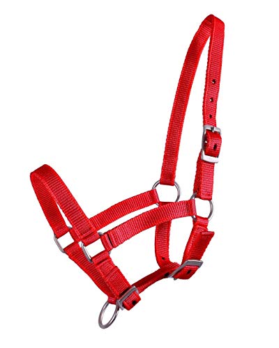 QHP Nylonhalfter Fohlen-Halfter 3fach verstellbar stark (Shetty-Fohlen, Rot) von QHP