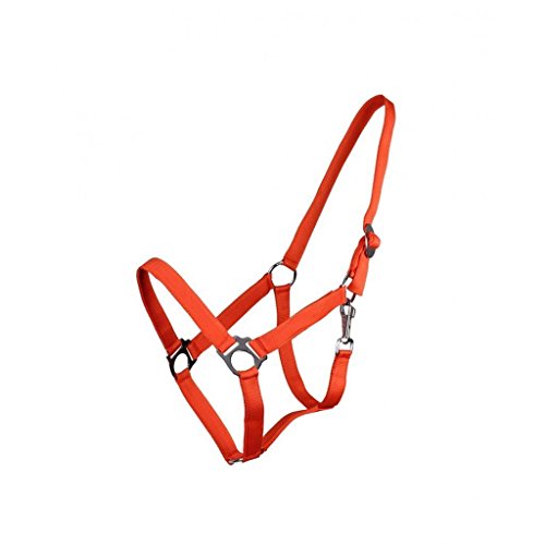 QHP Nylonhalfter Genickstück verstellbar durch Schiebeschnalle (Pony, orange) von QHP